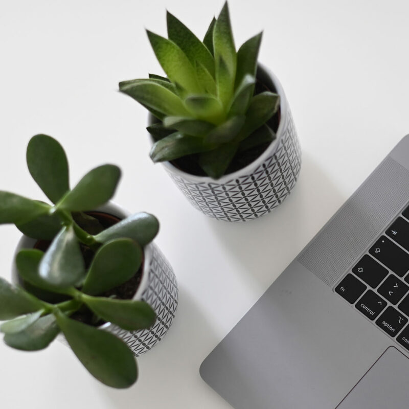 schlegl-steuerberatung-klagenfurt-buchhaltung-e1618251814368