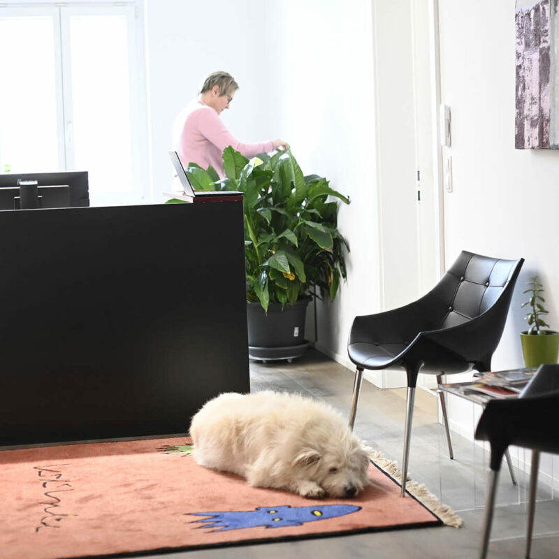 schlegl-steuerberatung-klagenfurt-lohnverrechnung-e1618251560509